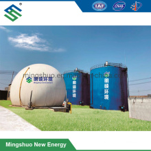 Anaerobic Digester for Biogas Plant Pig Farm Waste Treatment